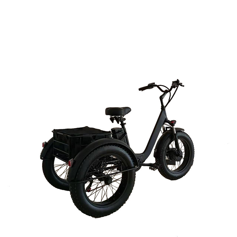 3 wheel electric tricycle tadpole recumbent trike /1000w electric trike electric fat tire trike adult /electric trike