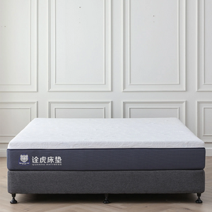 King mattress Hotel Bedroom School Latex Memory Foam sponge mattress