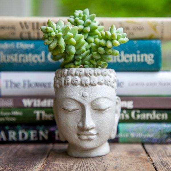 Small Concrete Buddha Head Planter,  Cement Succulent Planter, Buddha Face Planter for Home Decor