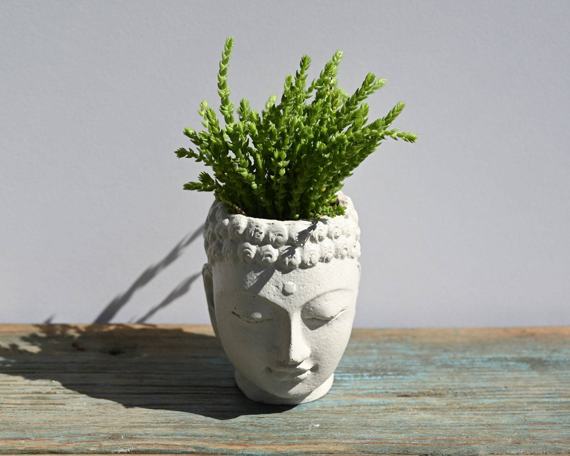 Small Concrete Buddha Head Planter,  Cement Succulent Planter, Buddha Face Planter for Home Decor