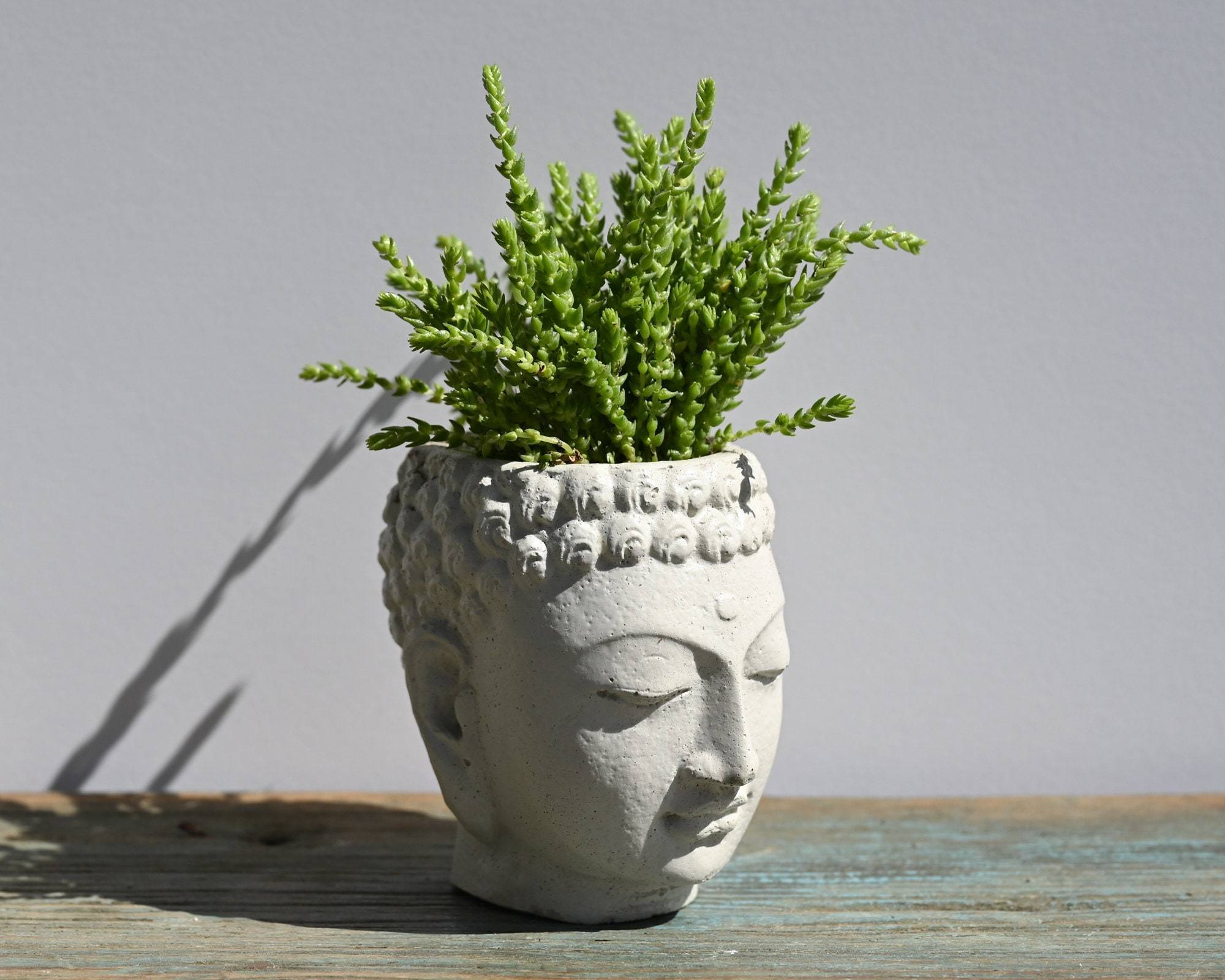 Small Concrete Buddha Head Planter,  Cement Succulent Planter, Buddha Face Planter for Home Decor