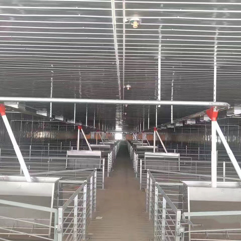 Swine Farming Fattening Stall for Pig Farm