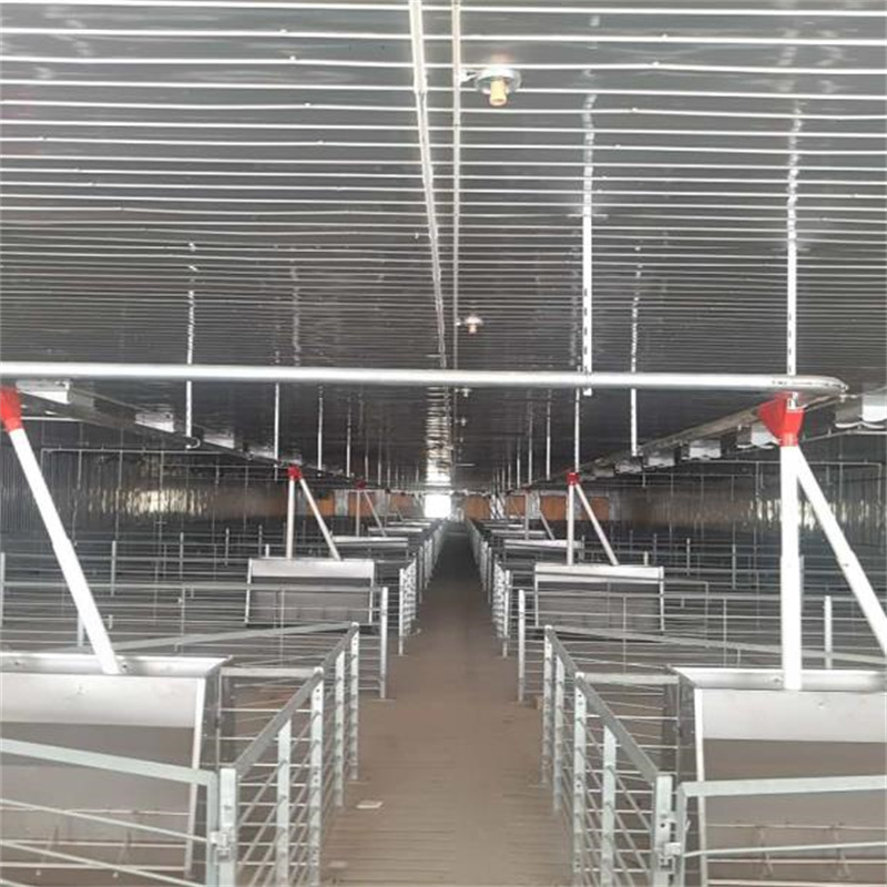 Hot Galvanized Steel Fattening Pen for Pig Farming