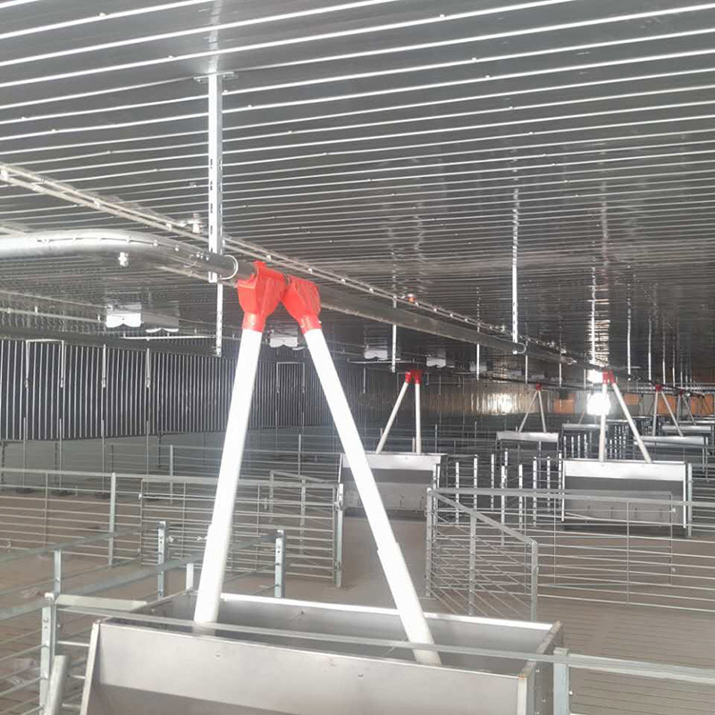 Production Pig Fattening Pen for Pig Farming