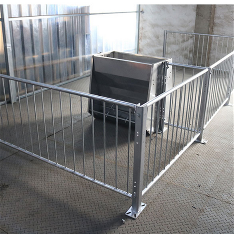 Pig Farming Production Pig Finisher Pig Cage for Sale