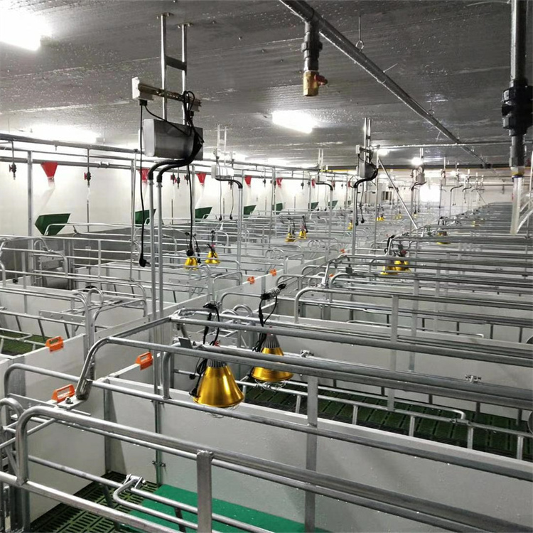 Pig Farm Sow Galvanized Steel Farrowing Crates for Pigs