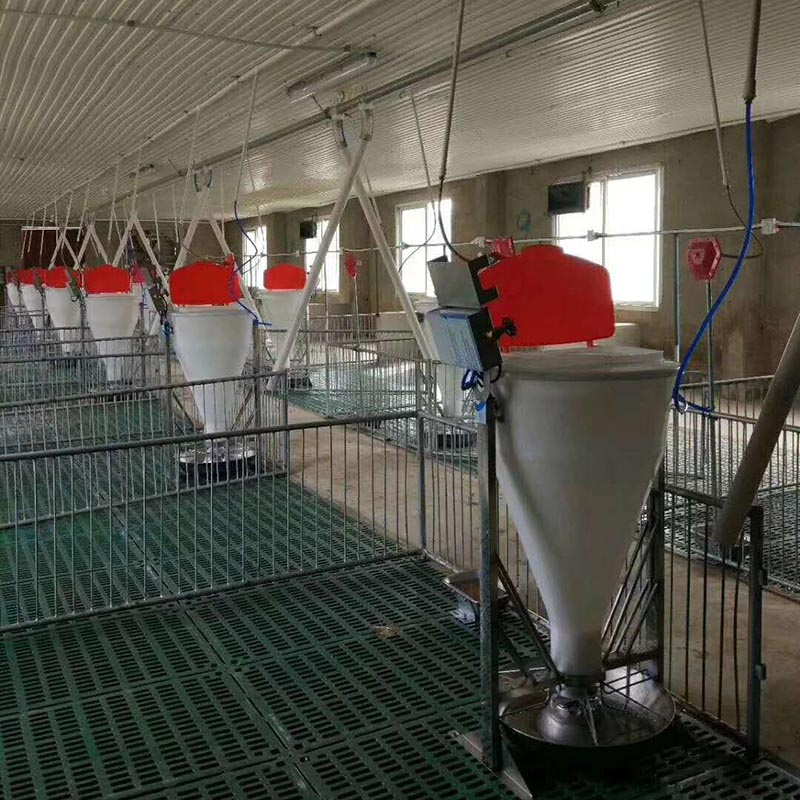 Pigsty PVC Wall Galvanized Steel Prefattening Pig Weaner Stall