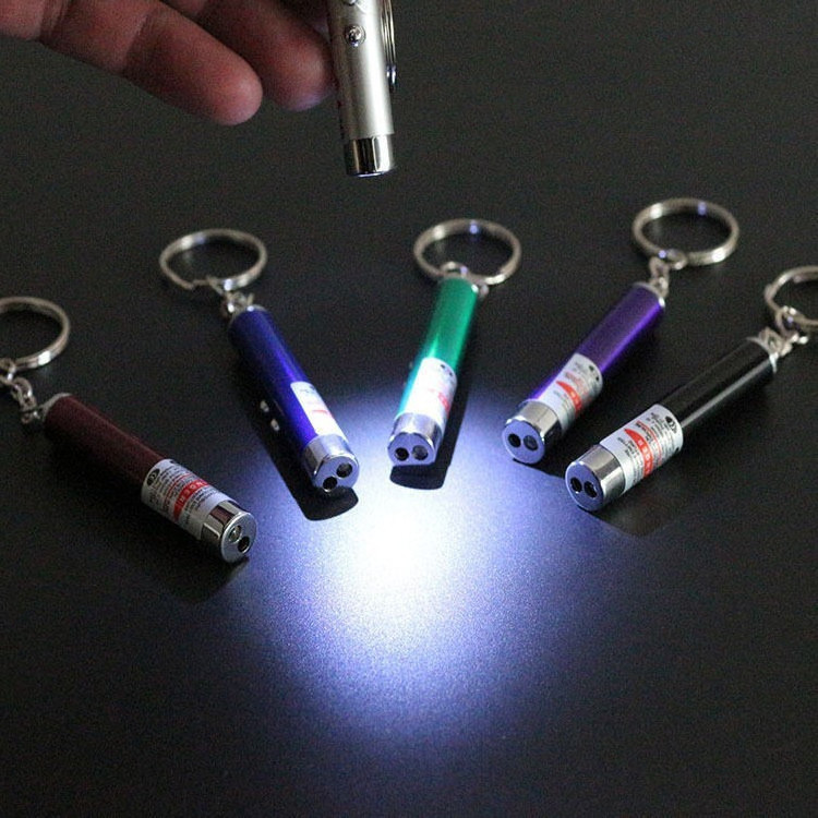 Custom 2-in-1 Cat Pet Toy Red Laser Light LED Pointer Pen White Flashlight Torch Keyring