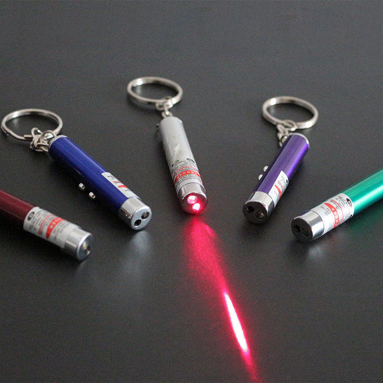 Custom 2-in-1 Cat Pet Toy Red Laser Light LED Pointer Pen White Flashlight Torch Keyring