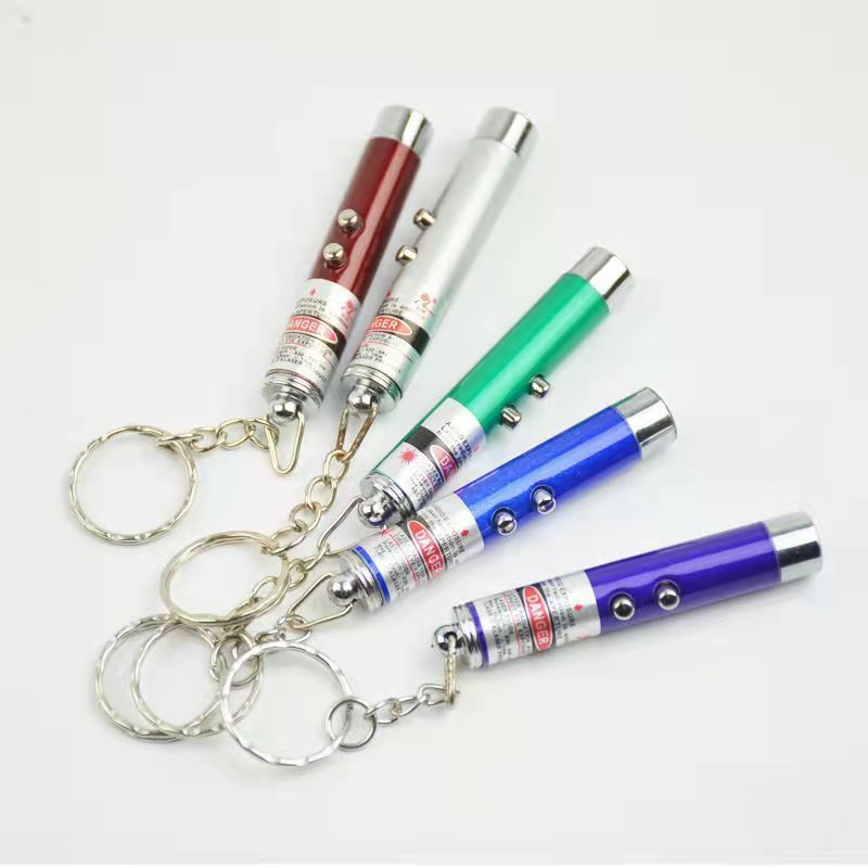 Custom 2-in-1 Cat Pet Toy Red Laser Light LED Pointer Pen White Flashlight Torch Keyring