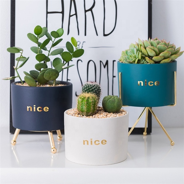 Wholesale Round Succulent Planter Ceramic Pots with Metal Stand,Succulent Garden Plants Pot Mini Plant Pot with Stand