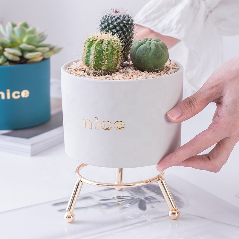 Wholesale Round Succulent Planter Ceramic Pots with Metal Stand,Succulent Garden Plants Pot Mini Plant Pot with Stand