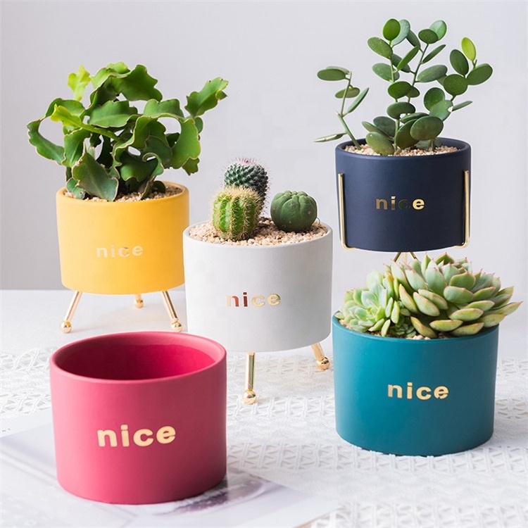 Wholesale Round Succulent Planter Ceramic Pots with Metal Stand,Succulent Garden Plants Pot Mini Plant Pot with Stand