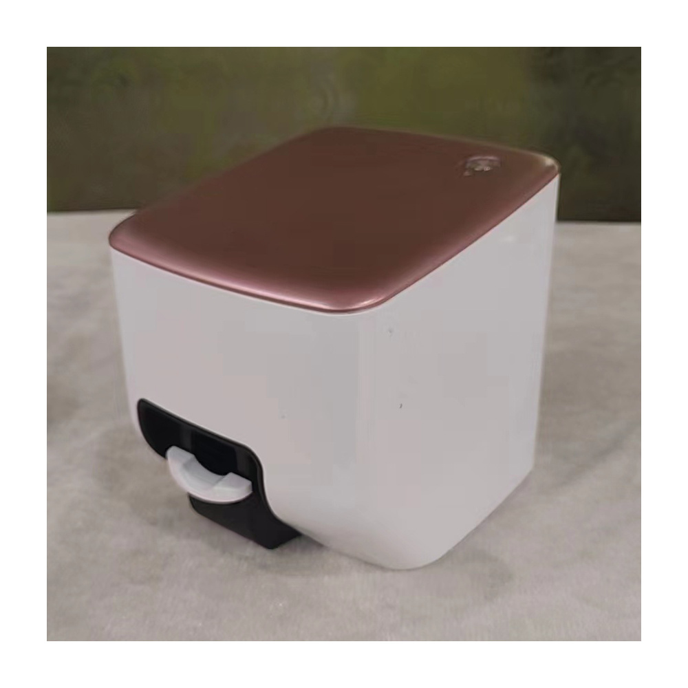 BIN  Popular Mobile Nail Printer Pattern Printing Machine Portable Nail painting machine 3D Printer For Nail Printing