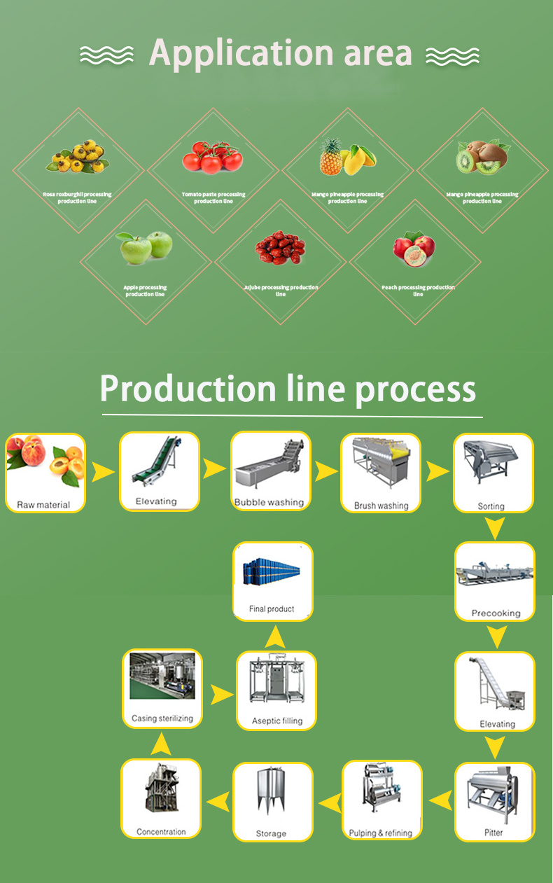 Palm Dates Processing line Jujube Processing Machine Date Syrup Processing Plant factory manufacturer