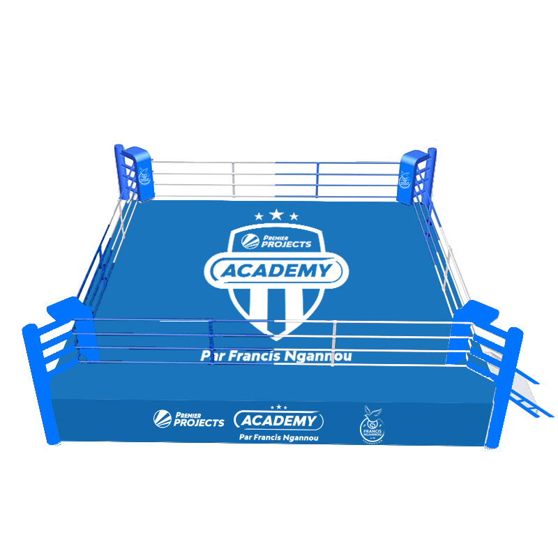 MMA ONEMAX WBC WBO IBF Championship Boxing Ring Logo Custom Easy To Assemble Sturdy GYM Wrestling Ring Kickboxing Ring MMA Cage