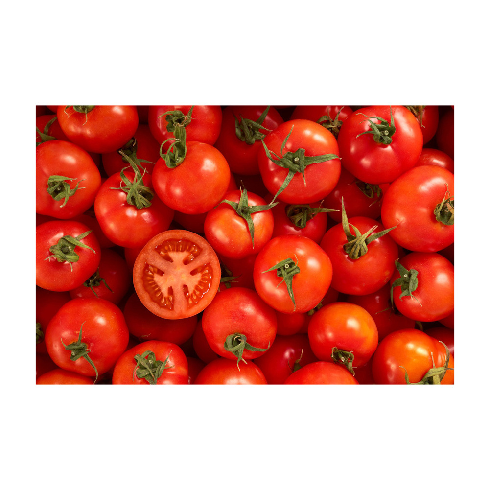 Cheap Price Natural Fresh Tomatoes in Stock Fresh Cherry Tomatoes/ Fresh Tomatoes Fresh Cherry Wholesale