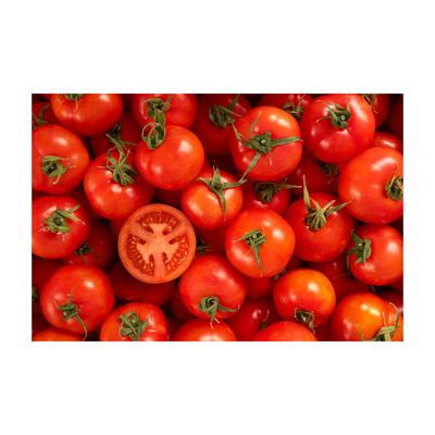 Cheap Price Natural Fresh Tomatoes in Stock Fresh Cherry Tomatoes/ Fresh Tomatoes Fresh Cherry Wholesale