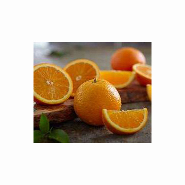 Valencia oranges / fresh orange - Wholesale for orange fruit with High Quality Cheap Price Global best