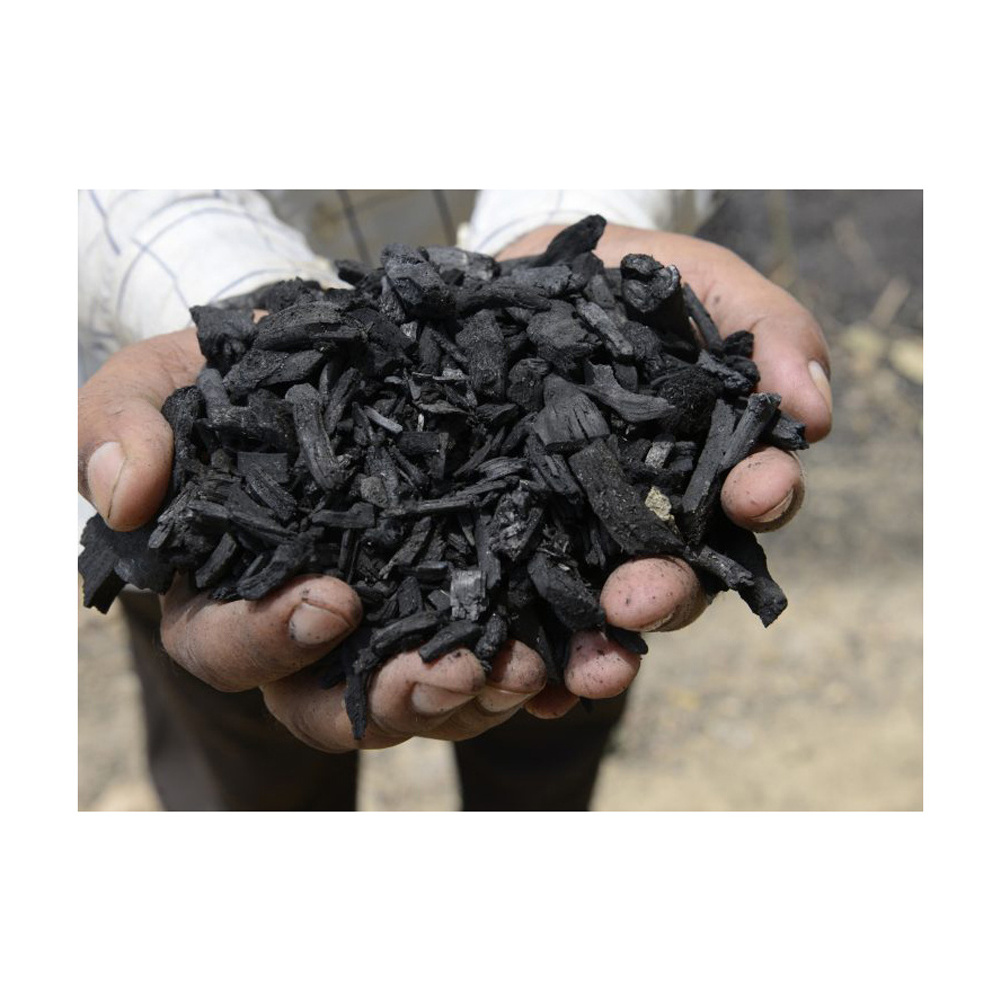 Hot sale Factory supply coconut Wholesale Coal Factory perfect  Price High Quality 100% natural Charcoal