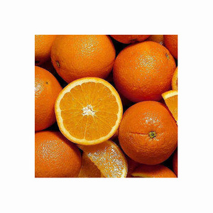 Valencia oranges / fresh orange - Wholesale for orange fruit with High Quality Cheap Price Global best