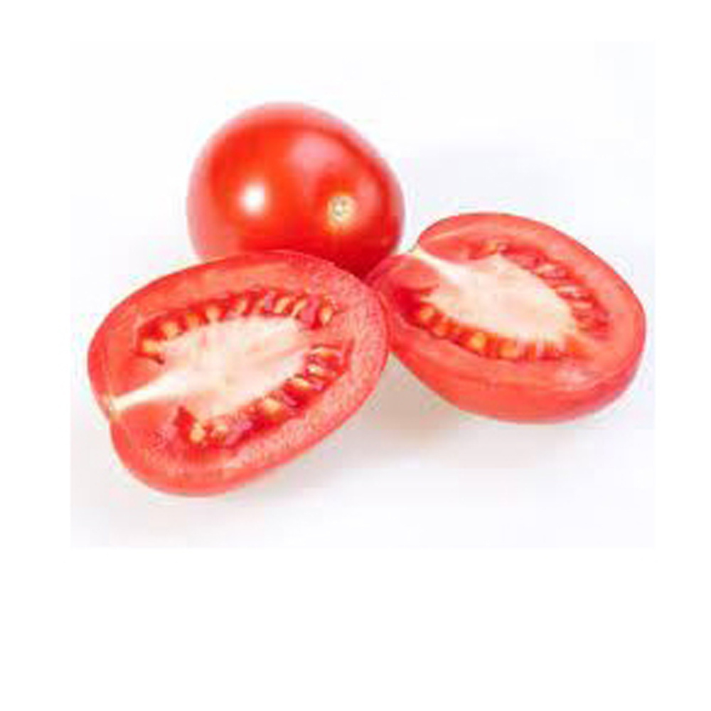 High Fresh Quality drum Half Tomato coloring Manufacturer bulk packaging cheap price best tomato best