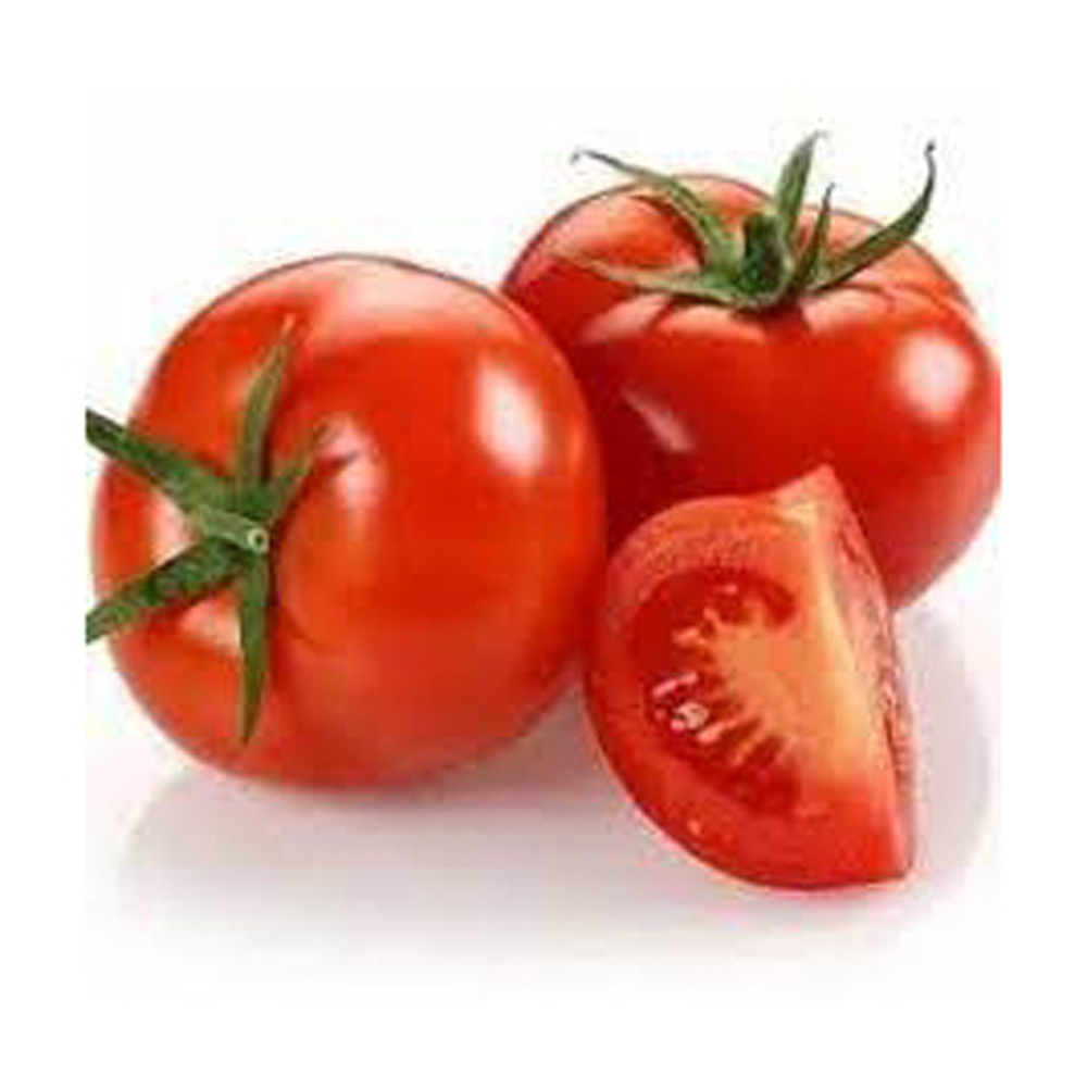 High Fresh Quality drum Half Tomato coloring Manufacturer bulk packaging cheap price best tomato best