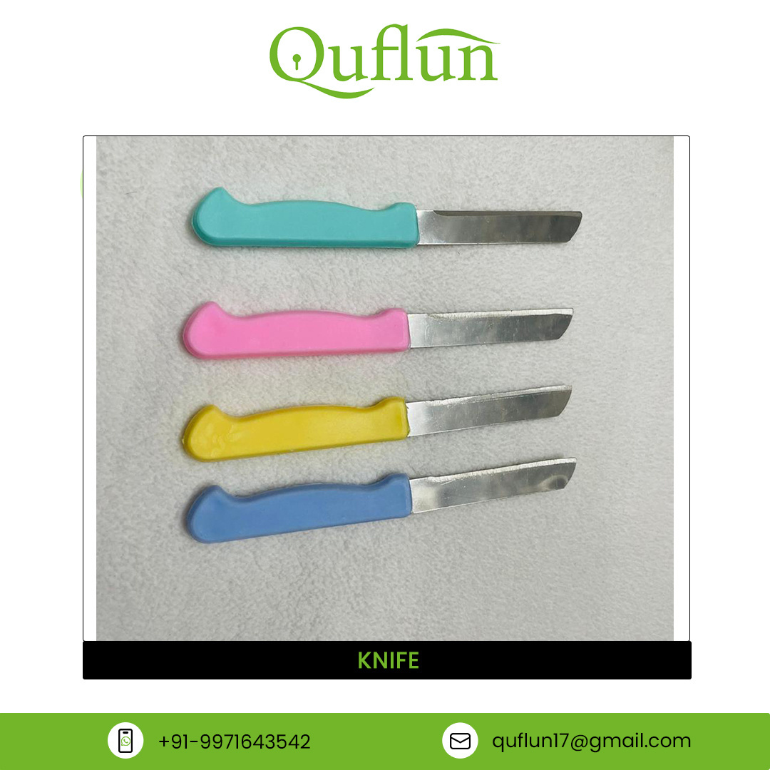 Top Quality Bulk Selling Vegetable and Fruit Cutting Knife Plastic Handle Material Stainless Steel Blade Kitchen Knives