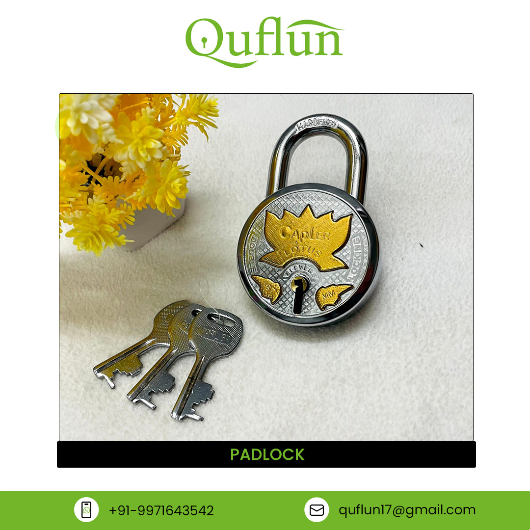 customized cabinet 50 mm door lock copper design mail box lock padlock keyed alike luggage lock anti theft ghalaq