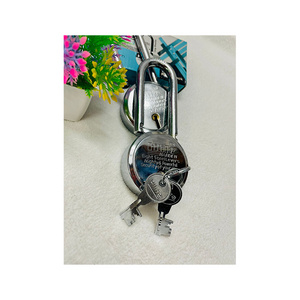 Leading Exporter of Top Quality Hilife 50mm Long Shackle 3 Keys Stainless Coating Iron Door and Gates Use Padlock for Sale