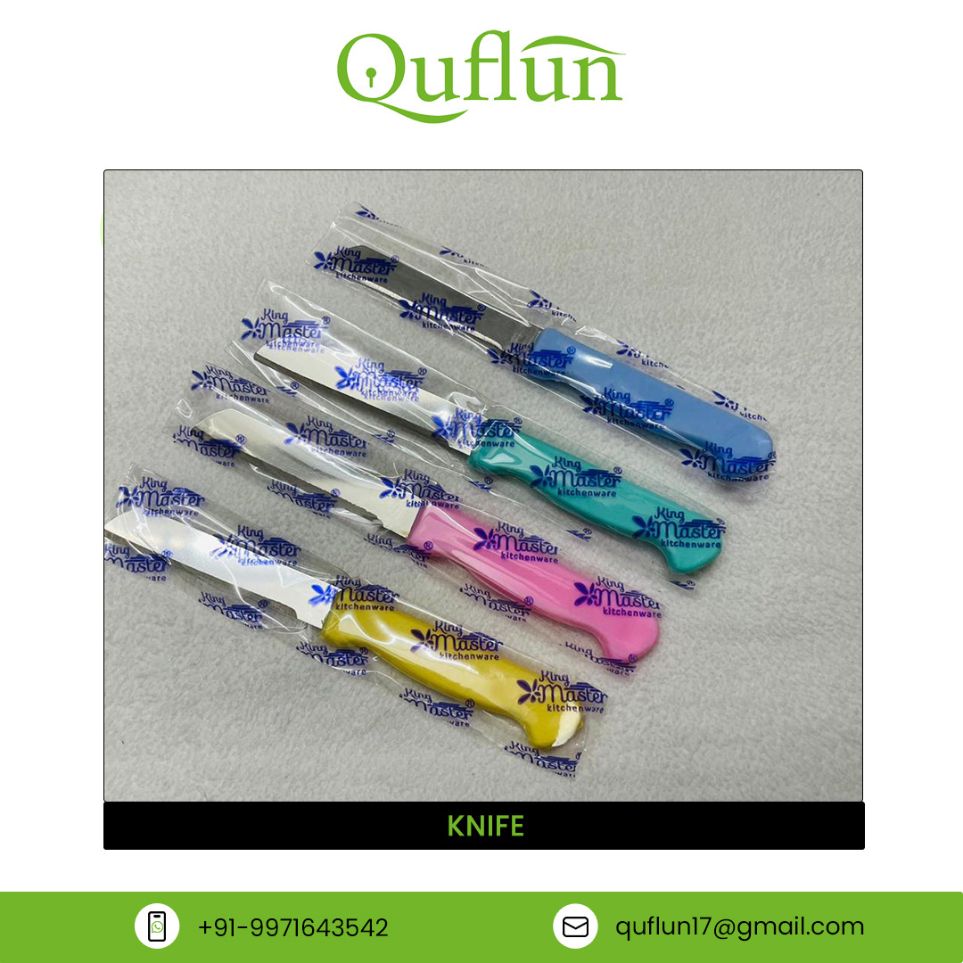 Top Quality Bulk Selling Vegetable and Fruit Cutting Knife Plastic Handle Material Stainless Steel Blade Kitchen Knives