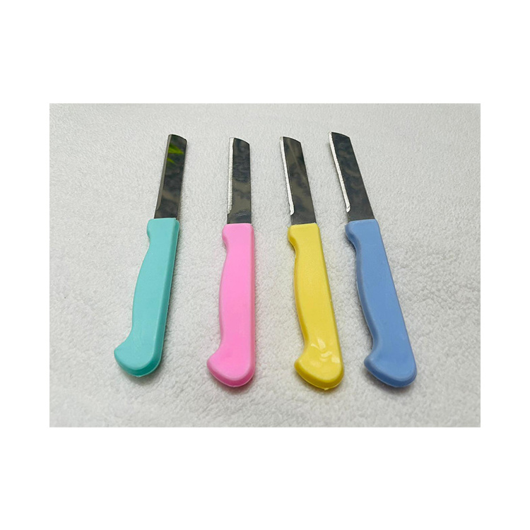 Top Quality Bulk Selling Vegetable and Fruit Cutting Knife Plastic Handle Material Stainless Steel Blade Kitchen Knives