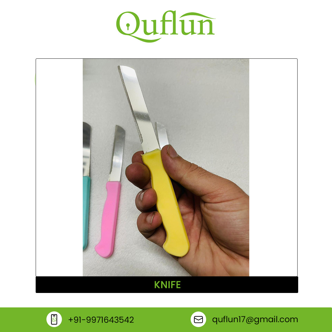 Top Quality Bulk Selling Vegetable and Fruit Cutting Knife Plastic Handle Material Stainless Steel Blade Kitchen Knives