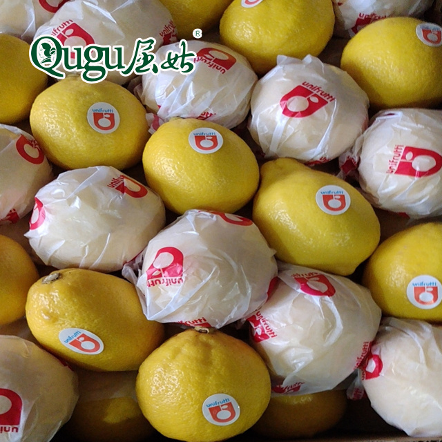 green and healthy orange style citrus fruit fresh lemon Eurake lemon for sale