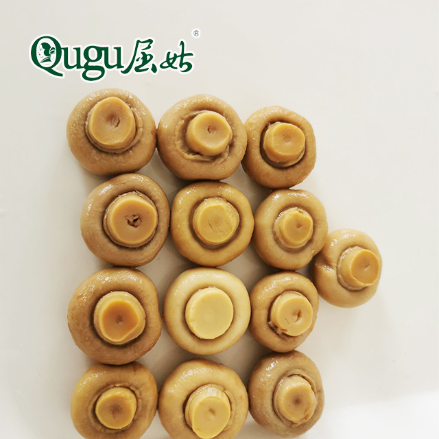 New crop canned whole button mushroom manufacturer price