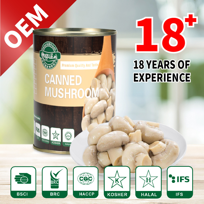 New crop canned whole button mushroom manufacturer price mushroom Can