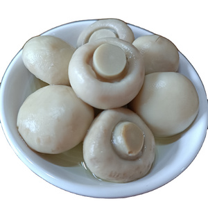 New crop canned whole button mushroom manufacturer price