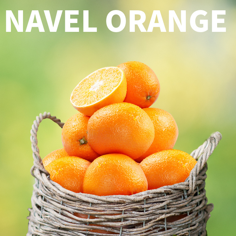 navel orange and valencia orange fresh fruits