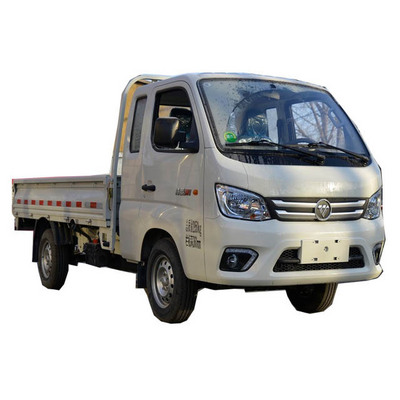 Foton China Hot Sale Light Cargo Truck 4X2 1221hp Column Plate Lorry Truck Gasoline Euro VI