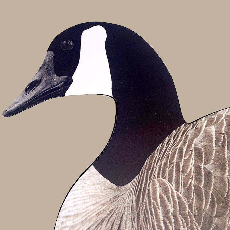 Lifelike Anti-reflective light weight china flocked silhouette goose decoys