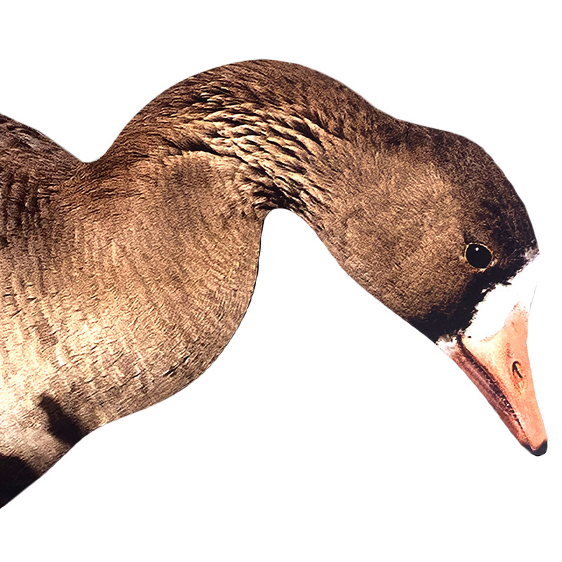 Multiple Style Waterproof corrugated goose decoy silhouette