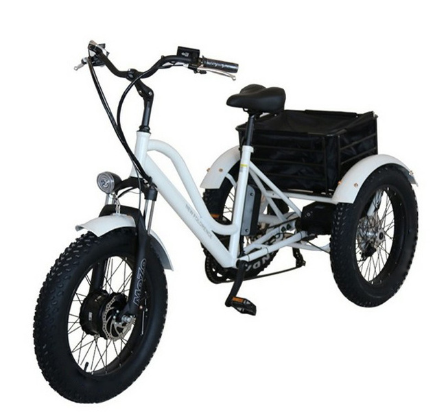 CE Customization Hot Sale Electric Fat Tire Snow Tricycle Trike 48V500W 15Ah Lithium Battery Steel Frame Cargo Bicycle