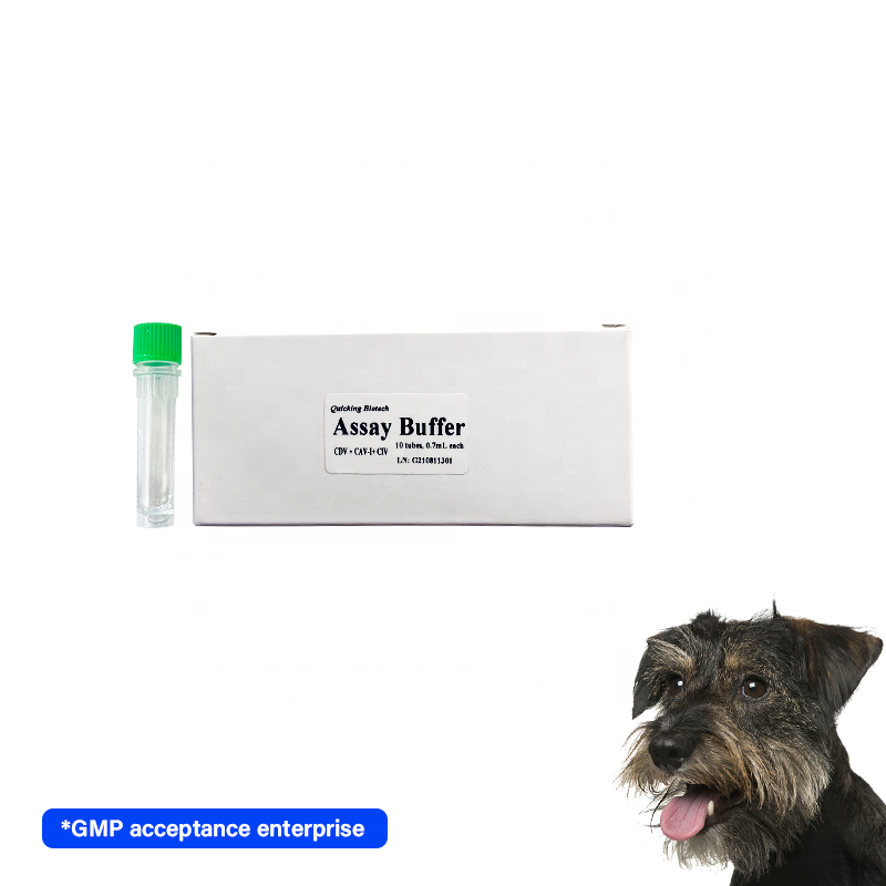 Dog Rapid Test combined canine CDV /Adenovirus type-I /CIV Ag triple test reagent Kit de pruebas veterinarias