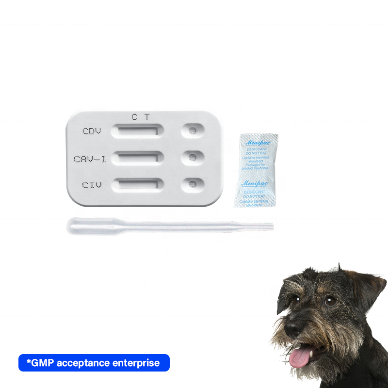 Dog Rapid Test combined canine CDV /Adenovirus type-I /CIV Ag triple test reagent Kit de pruebas veterinarias