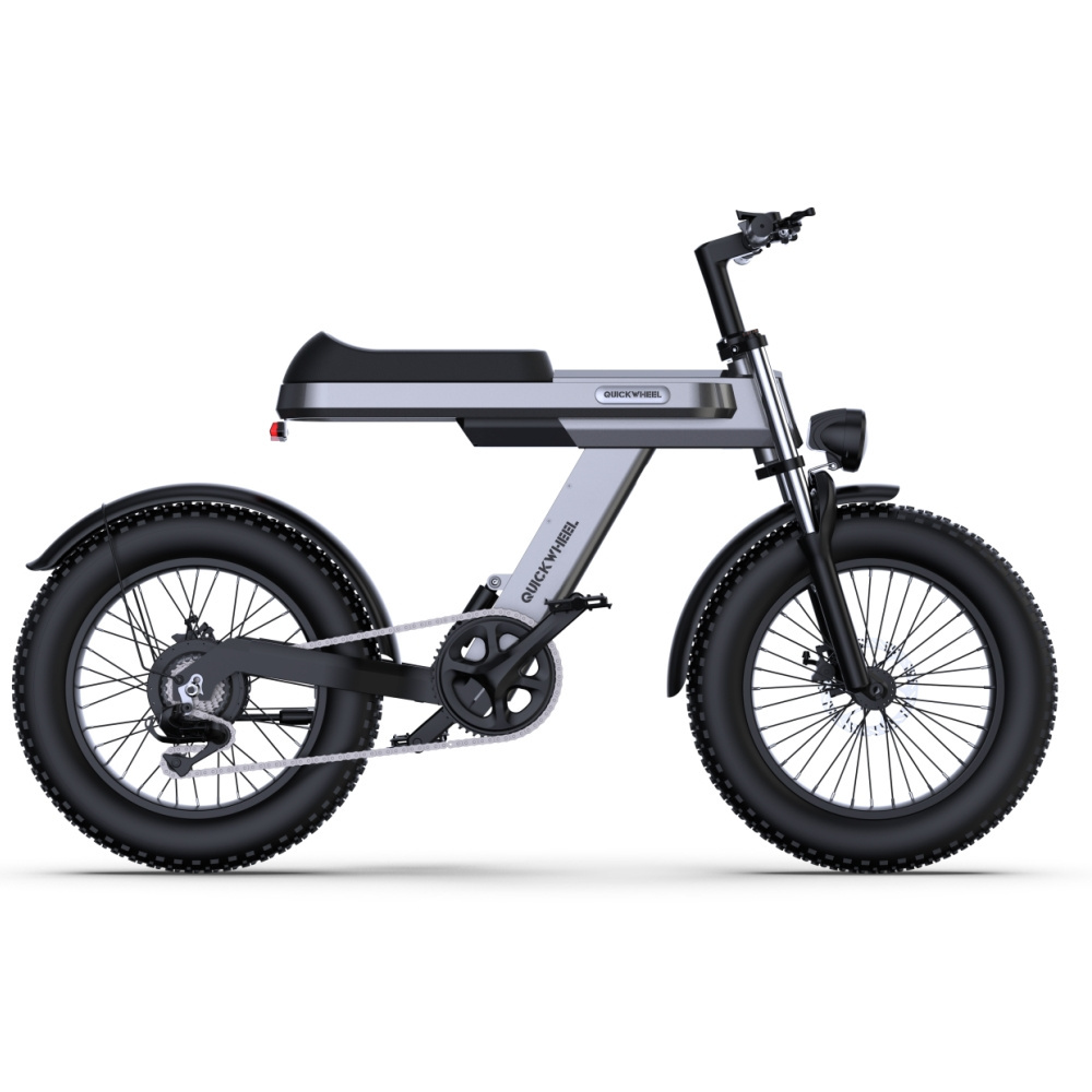 Long Distance 48V 15Ah 1000W Fat Tire Foldable 20 Inch Hub Motor E Bike Dual Lithium Battery Used Electric Bicycle For Sale