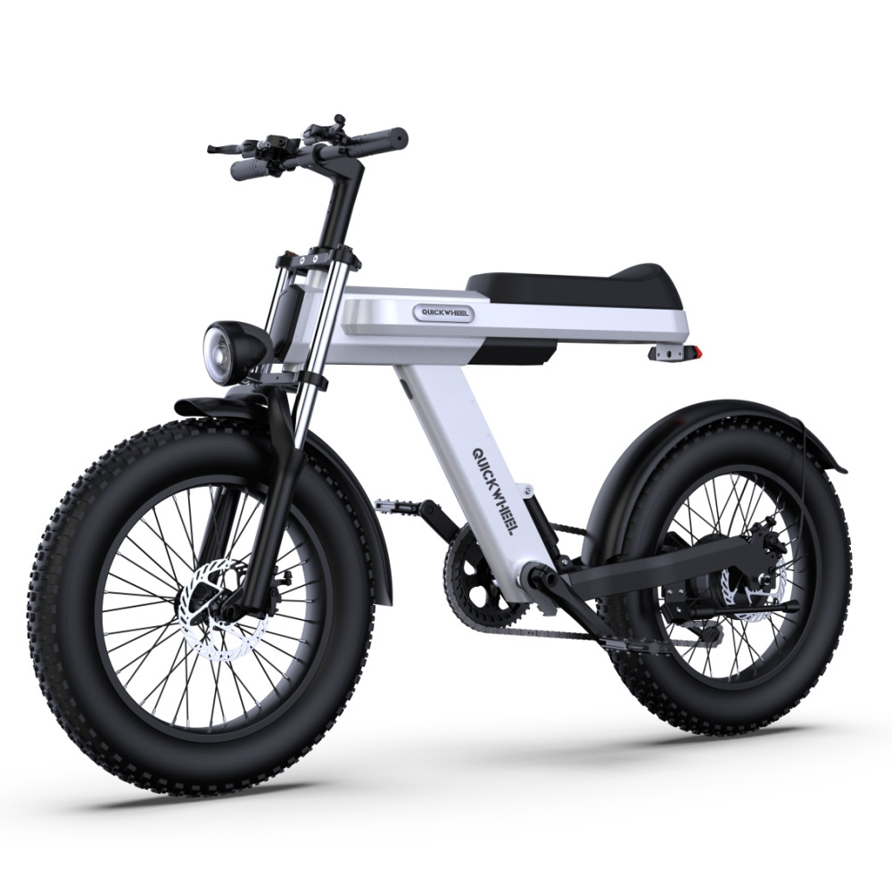 Wholesale Foldable Removable Battery E Bike For Fashion Popular Design Electric Bike 24 Volt Folding Adult Electric City Bicycle