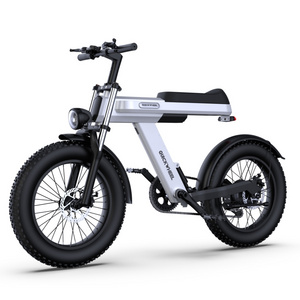 Wholesale Foldable Removable Battery E Bike For Fashion Popular Design Electric Bike 24 Volt Folding Adult Electric City Bicycle