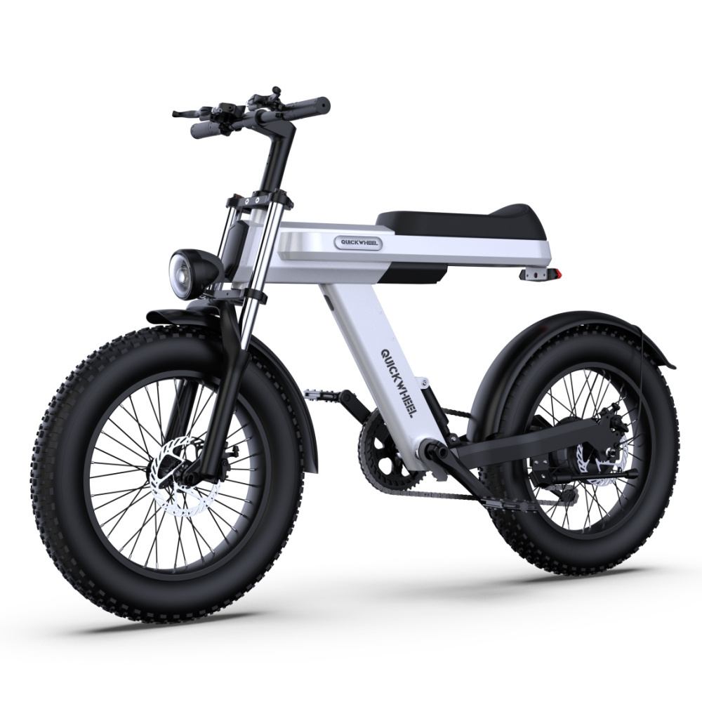 Usa Eu Warehouse C9 Adult Off Road Mountain Bike Electric Cycle Electric Moped 20 Inch Fat Tire Electric Bike 1000W 48V 15Ah