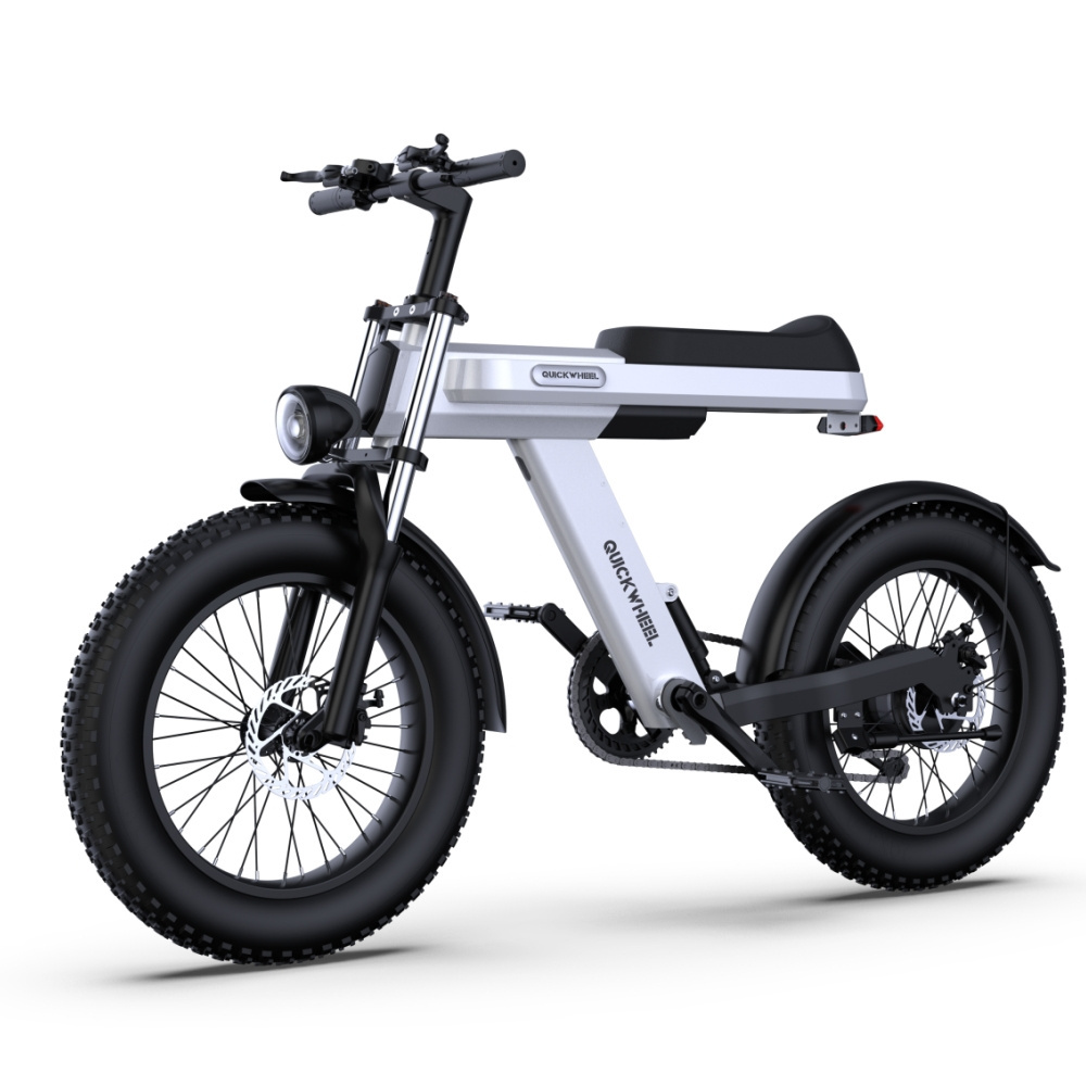 High Quality Electric Fat Tire Bike 1000W Retro Moped Bicycle Electric 48V 15Ah 8000W Electric Bike 20 Inch Bluetooth Mobile APP