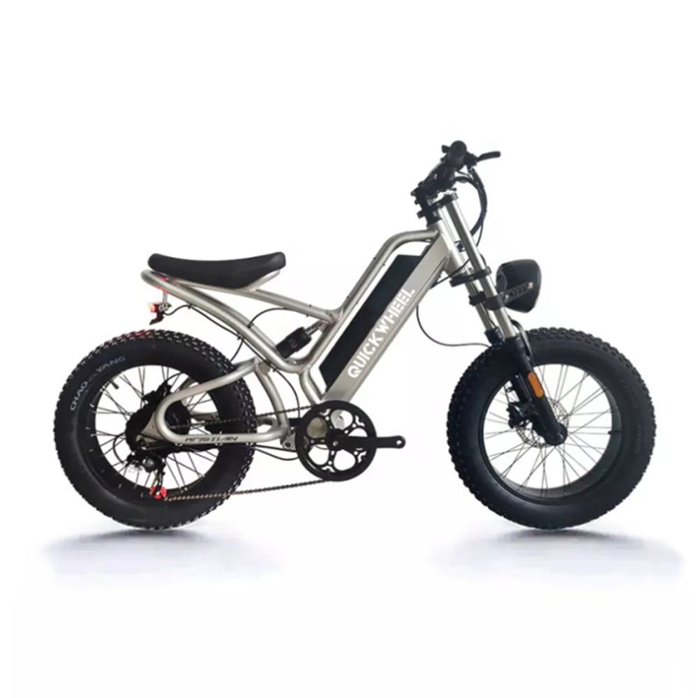 Eu Warehouse Wide Wheel New Design Big Tires Ebike Cheap Electric Bike With Ce For Adults 750W 4 Wheels Electric Bike